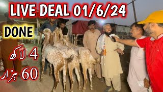 Live Deal in Bakra Mandi  bakra mandi 2024  Deal Done [upl. by Anirbaz]