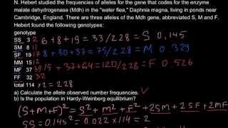 Population genetics  Three alleles problem [upl. by Daisi632]