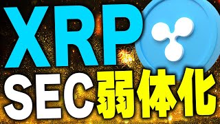 【仮想通貨リップル】最新情報❗️XRPリップル社だけでなくSECに有利な展開に！リップル裁判に動きがあるぞ！2024年仮想通貨バブルはこれから！【XRPソラナ】【イーサリアムETH】 [upl. by Antone]