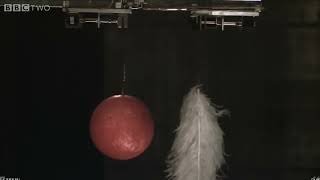 Dropping a Bowling Ball and some Feathers in Air and a Vacuum [upl. by Denny]