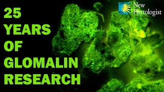 A critical review of 25 years of glomalin research [upl. by Narcis]