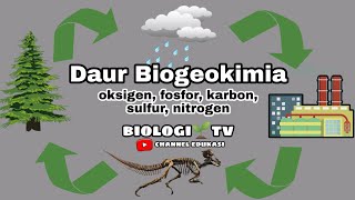 Daur Biogeokimia  daur karbon daur nitrogen daur sulfur daur oksigen daur fosfor  biologi sma [upl. by Doersten]