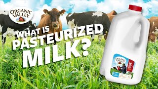 What is Pasteurized milk  Ask Organic Valley [upl. by Bartolomeo]