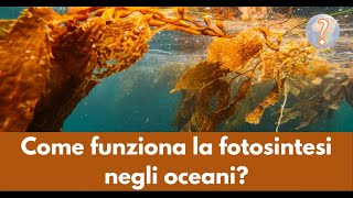 Come funziona la fotosintesi negli oceani [upl. by Skill235]