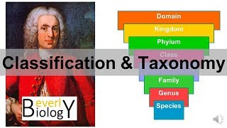 Classification and Taxonomy [upl. by Nomit]