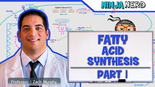 Metabolism  Fatty Acid Synthesis Part 1 [upl. by Zoarah993]