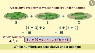 Associative Property of Whole Numbers  Part 13  English  Class 6 [upl. by Eirrahs335]