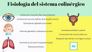 7Farmacología de la neurotransmisión colinérgica 2023 Cátedra 1 FMed UBA turno lunes [upl. by Eintihw]