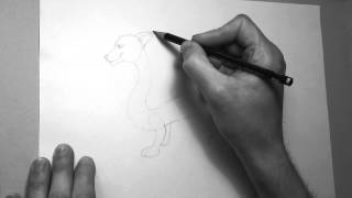 Drawing Falkor The neverending Story [upl. by Zavras]