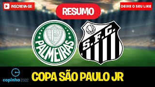 PALMEIRAS X SANTOS  FINAL  COPINHA SP 2022  RESUMO [upl. by Leirvag577]