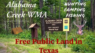 Alabama Creek Wildlife Management Area  Davy Crockett National Forest  Texas Free Public Land [upl. by Gorlicki775]