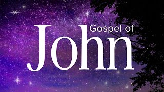 Gospel of John  Abide Audio Bible Holy Bible Audio [upl. by Kciv81]