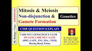 NONDISJUNCTION IN MEIOSIS amp MITOSIS CSIR NET LIFESCIENCE  NONDISJUNCTION OF CHR amp Chromatid [upl. by Thadeus]