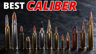 Which Caliber Is The BEST for Self Defense [upl. by Noislla]