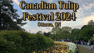 Canadian Tulip Festival 2024 from Ottawa Ontario [upl. by Garibull]