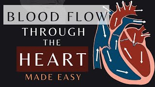 Blood Flow Through the Heart in 1 Minute Animation  Cardiac Physiology bloodflow shorts [upl. by Nnylsaj]