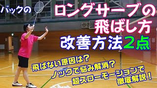 【打ち方】バックのロングサーブの飛ばし方【バドミントン】 初心者 サーブ サービス ダブルス 部活 体育 [upl. by Natalee]