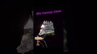 Rio Camuy Cave Park Puerto Rico 🇵🇷 is incredible Augie B took amazing shotsbirding Video soon [upl. by Asen]