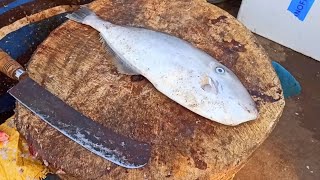 Super LEATHER JACKET FISH FRY  Kilathi meen Fish Cutting Skills Amazing [upl. by Agrippina]