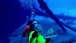 Bonaire  Scuba Diving  Hilma Hooker and 18 Palm  4k [upl. by Aynwat723]