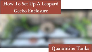 How To Set Up A Leopard Gecko Enclosure  Quarantine Tanks [upl. by Card]