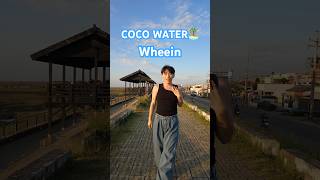 Coco water🥥🏝️💦 wheein cocowater mamamoowheein 휘인 dance reels kpop dancecover nexist [upl. by Flavia]