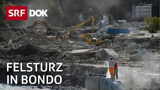 Der Bergsturz in Bondo und seine Folgen  Klimawandel in der Alpenregion  Reportage  SRF [upl. by Enairda]