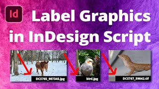 Automatically Generate Image Captions amp Labels • InDesign Script [upl. by Knipe]