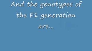Monohybrid and Dihybrid Crosses [upl. by Lyall]