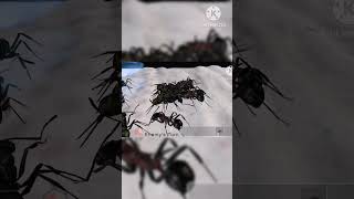 Lamellidens ant VS Inflatus ant Ant sim tycoon [upl. by Danie]