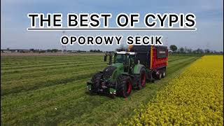 🚨THE BEST OF CYPIS🤯SECIK DLA OPOROWCÓW🚨VOL3 [upl. by Dedric775]