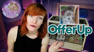 Rescuing Dwarf Hamsters from Offerup  Munchies Place [upl. by Zednanreh]