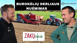 Burokėlių derliaus nuėmimas Zakų ūkyje  AGRO REIDAS [upl. by Sall396]