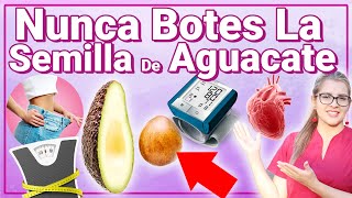 Increíbles beneficios de la SEMILLA DEL AGUACATE [upl. by Joana]