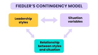 Understanding Contingency Theory in Management  A Situational Approach 12 Minutes [upl. by Hafeenah]