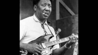 Muddy Waters  I Bes Troubled [upl. by Hazrit]