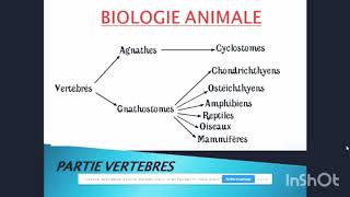 Biologie animale les agnathes شرح [upl. by Keslie]