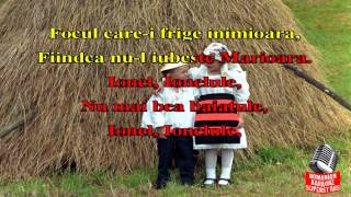 IONEL IONELULE KARAOKE STIL ETNO DANCE [upl. by Ebbarta]