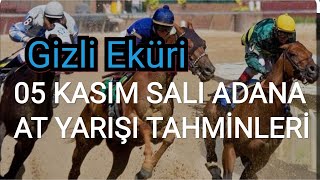 05 KASIM 2024 SALI ADANA AT YARIŞI TAHMİNLERİ GİZLİ EKÜRİ KANALİMİZDA [upl. by Areit]