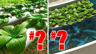 Hydroponics VS Aquaponics Heres Which Ones REALLY Better [upl. by Luann]