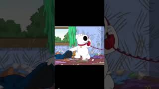 No Stewie familyguy shorts [upl. by Langelo]