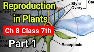 Reproduction in Plants Chapter 8 Class 7th  NCERT Book Science Ch 8 Class 7th Explanation Part 1 [upl. by Punke]