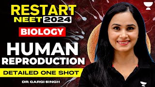 Human Reproduction  Detailed One Shot  NEET 2024  Dr Gargi Singh [upl. by Ffilc]