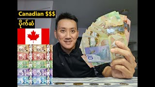 Canadian Currency Money Banknotes and Coins  ကနေဒါ ပိုက်ဆံ [upl. by Nyllaf]