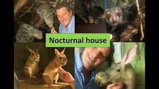 Nocturnal house in Frankfurt Zoo with amazing collection [upl. by Assila228]