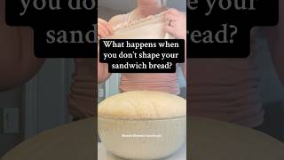 Not shaping my sourdough sandwich bread breadmaking sourdoughbread shaping baking [upl. by Ellac417]