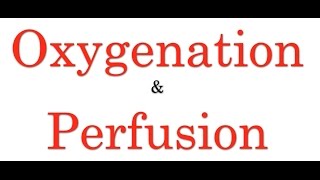 Oxygenation amp Perfusion [upl. by Leeland]