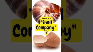 What is a quotShell Companyquot in finance  moneywiseminutiae [upl. by Althea506]