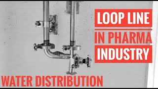 WATER LOOP LINE SYSTEM FOR WATER DISTRIBUTION IN PHARMA INDUSTRY [upl. by Etteroma]