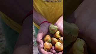 💥🤯கிராமத்து கிலுகிலுப்பை⁉️ Baby toy making  abithaakk babytoys villagelife shortsfeed shorts [upl. by Ulund]